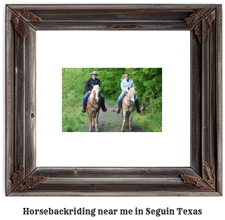 horseback riding near me in Seguin, Texas